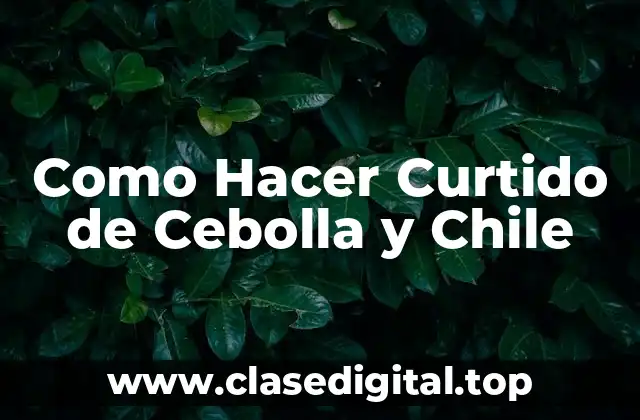 Como Hacer Curtido de Cebolla y Chile