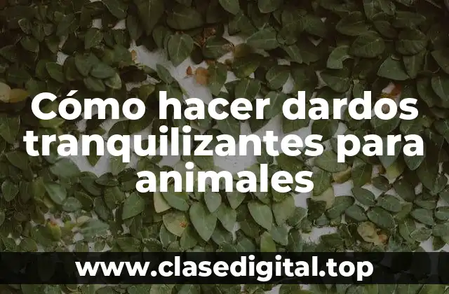 Cómo hacer dardos tranquilizantes para animales