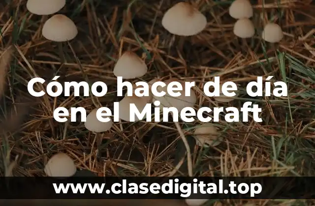 ¿Qué es hacer de día en el Minecraft?
