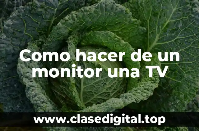 Como hacer de un monitor una TV