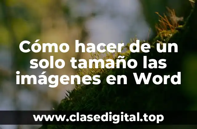 Cómo hacer de un solo tamaño las imágenes en Word