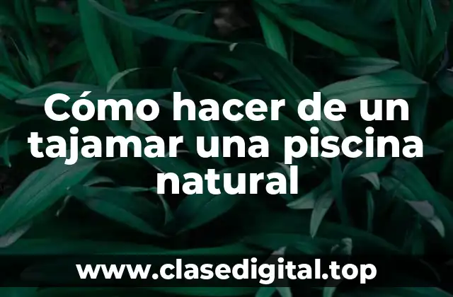 Cómo hacer de un tajamar una piscina natural