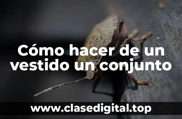 Cómo hacer de un vestido un conjunto