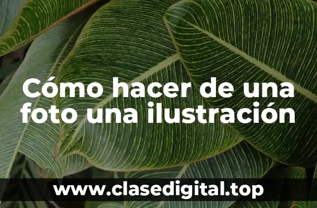 Cómo hacer de una foto una ilustración
