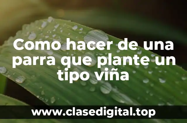 Como hacer de una parra que plante un tipo viña