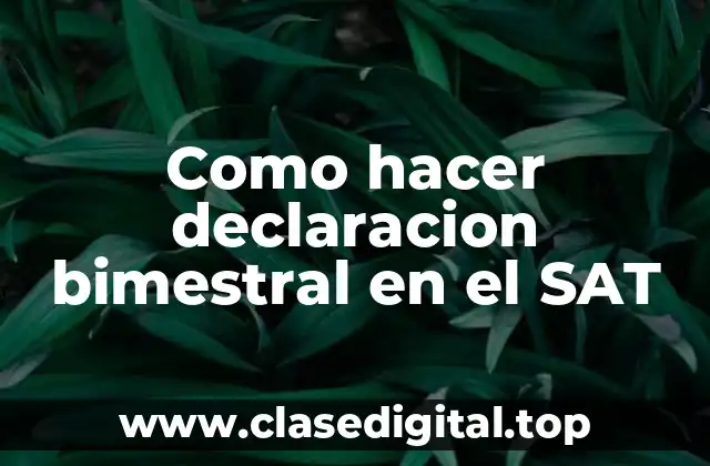 Como hacer declaracion bimestral en el SAT