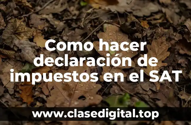 Como hacer declaración de impuestos en el SAT