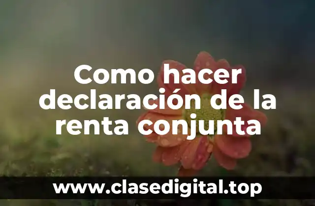 ¿Qué es la declaración de la renta conjunta?