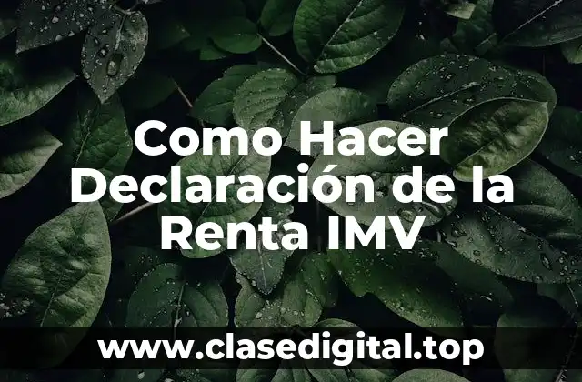 Como Hacer Declaración de la Renta IMV