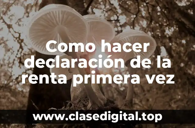 Como hacer declaración de la renta primera vez