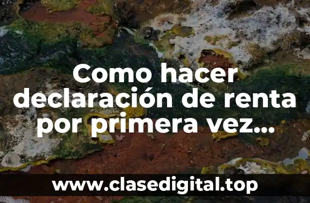 Como hacer declaración de renta por primera vez Chile