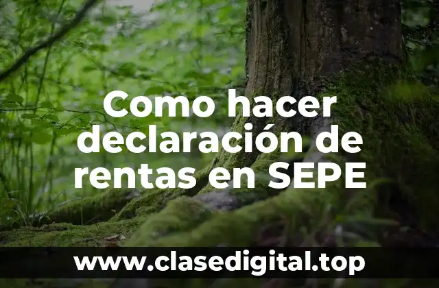 Como hacer declaración de rentas en SEPE