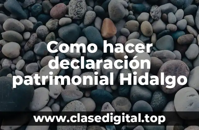 Como hacer declaración patrimonial Hidalgo