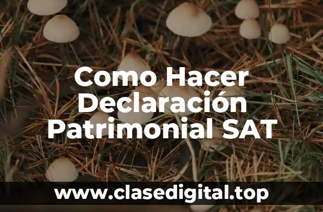 Como Hacer Declaración Patrimonial SAT