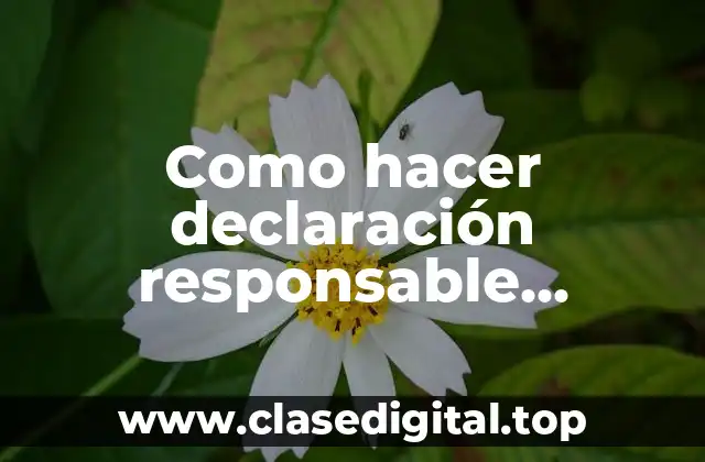 Como hacer declaración responsable seguridad social