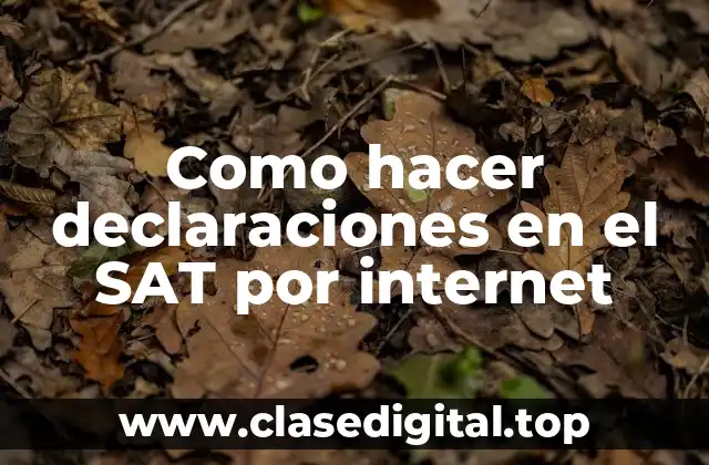 Como hacer declaraciones en el SAT por internet