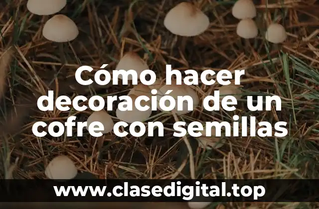 Cómo hacer decoración de un cofre con semillas