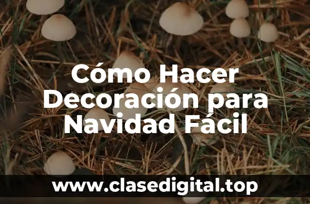 Cómo Hacer Decoración para Navidad Fácil