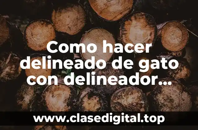 Como hacer delineado de gato con delineador líquido