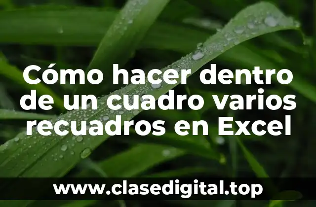 Cómo hacer dentro de un cuadro varios recuadros en Excel