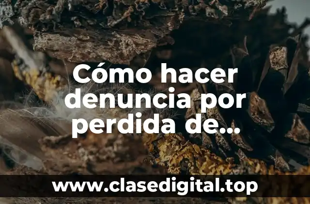 Cómo hacer denuncia por perdida de documentos