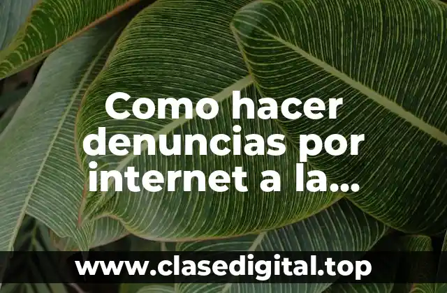 Como hacer denuncias por internet a la inspección del trabajo