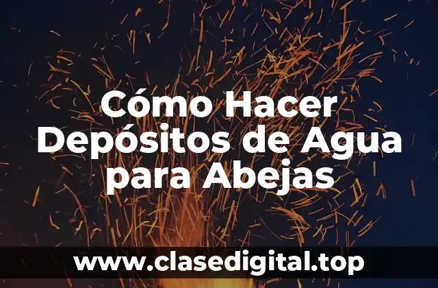 Cómo Hacer Depósitos de Agua para Abejas
