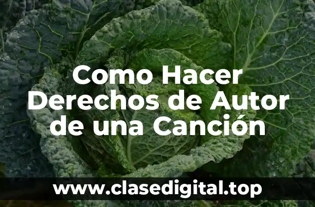 Como Hacer Derechos de Autor de una Canción