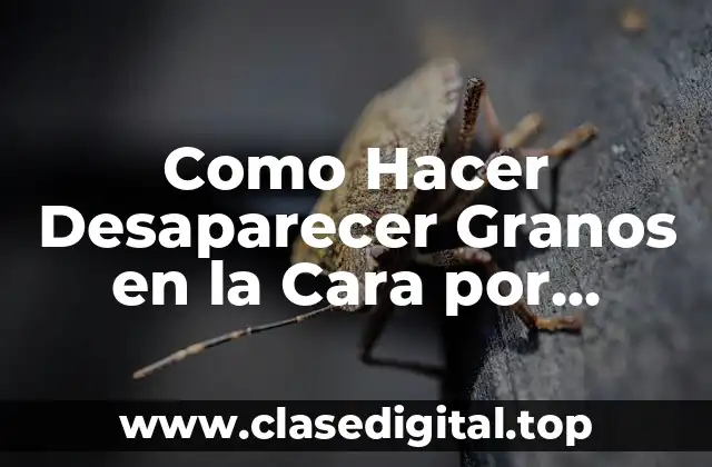 Como Hacer Desaparecer Granos en la Cara por Depilación