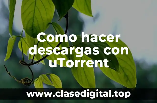 ¿Qué es uTorrent y cómo funciona?