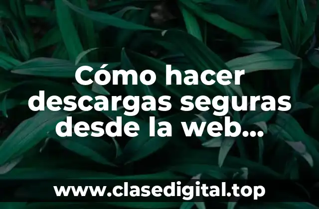 Cómo hacer descargas seguras desde la web profunda
