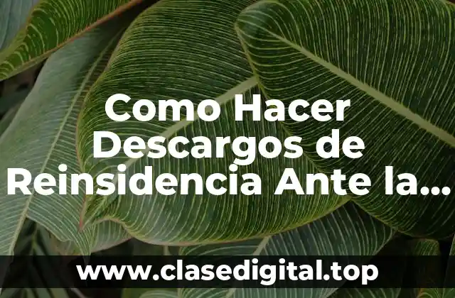 ¿Qué son los Descargos de Reinsidencia y para qué Sirven?