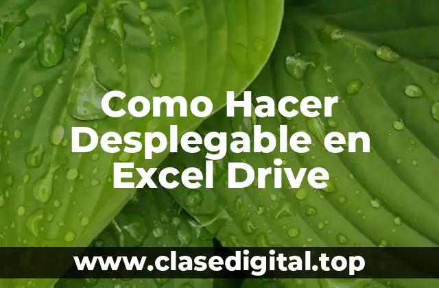 Como Hacer Desplegable en Excel Drive