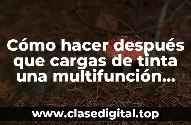 Cómo hacer después que cargas de tinta una multifunción esón