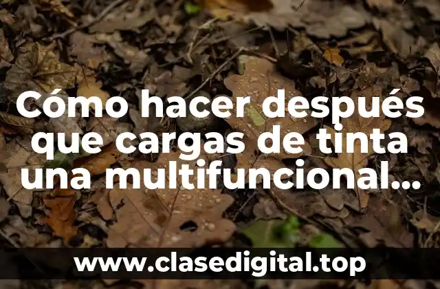 Cómo hacer después que cargas de tinta una multifuncional Epson