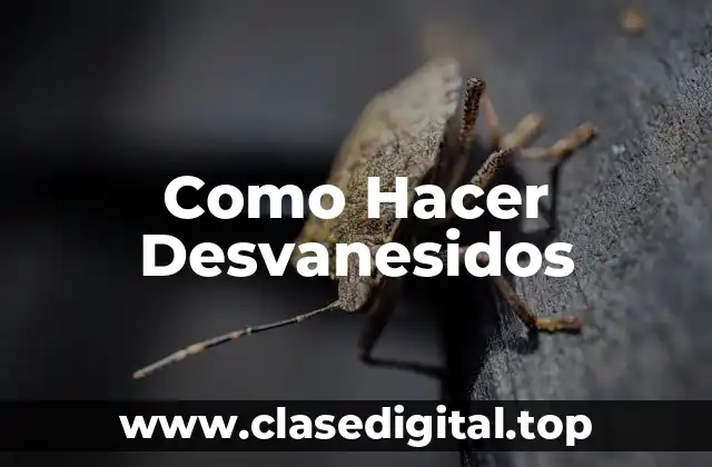 ¿Qué son los Desvanesidos?