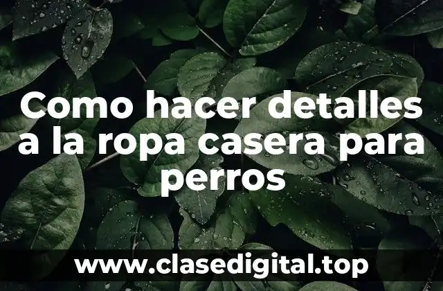 Detalles a la ropa casera para perros