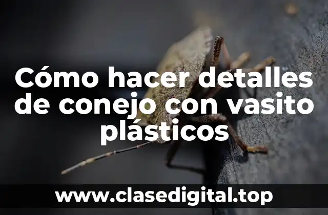 Cómo hacer detalles de conejo con vasito plásticos