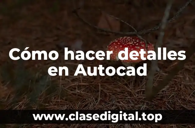 Cómo hacer detalles en Autocad