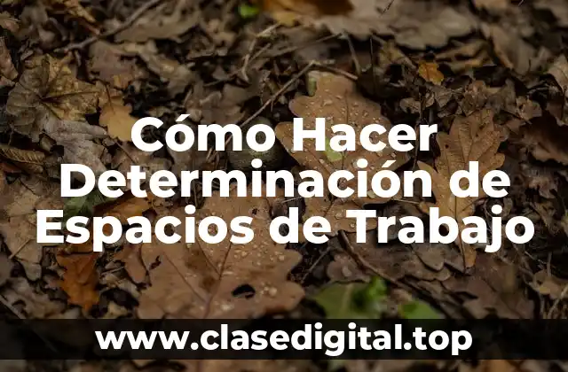 Cómo Hacer Determinación de Espacios de Trabajo