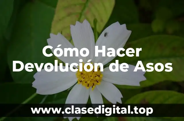 Cómo Hacer Devolución de Asos