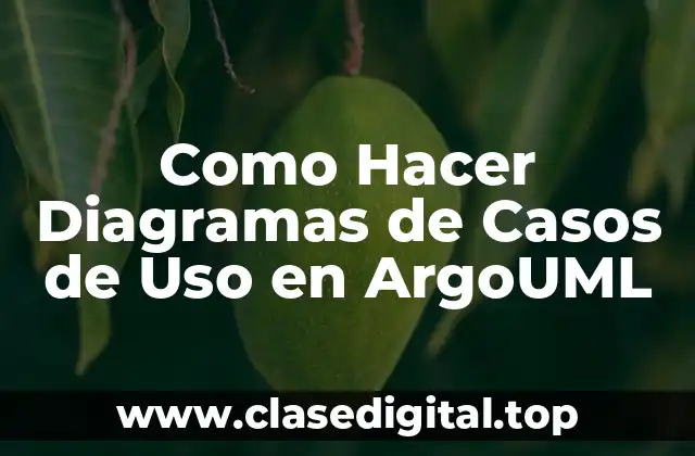 ¿Qué es un Diagrama de Casos de Uso en ArgoUML?