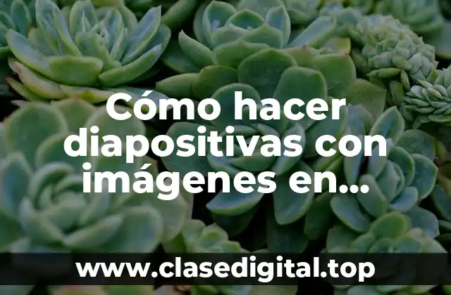 Cómo hacer diapositivas con imágenes en movimiento