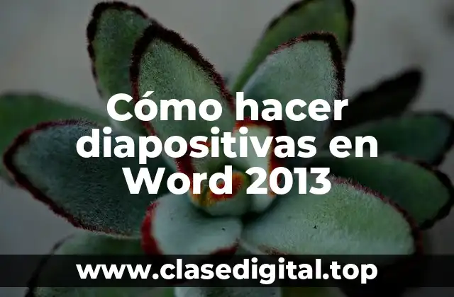 Cómo hacer diapositivas en Word 2013