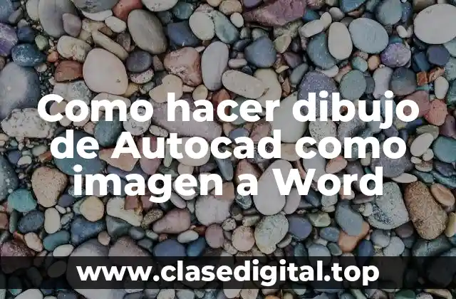 Como hacer dibujo de Autocad como imagen a Word
