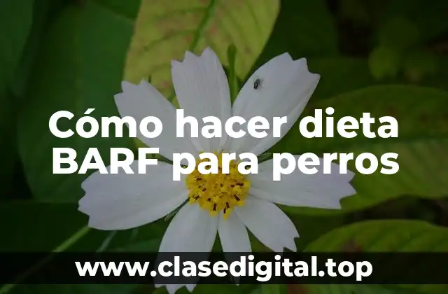 Cómo hacer dieta BARF para perros