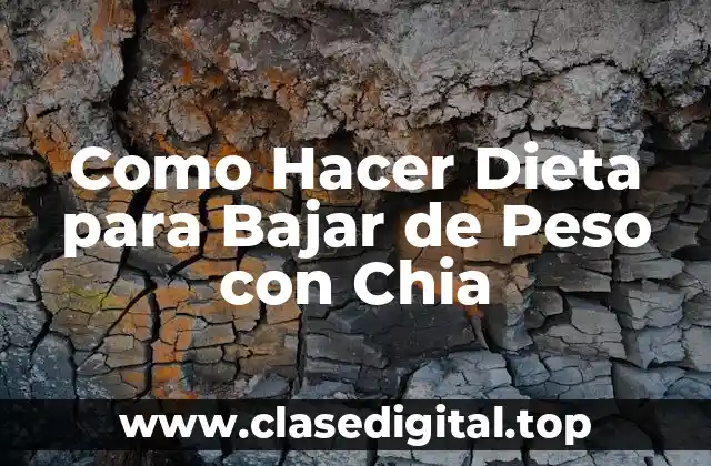 ¿Qué es la Dieta con Chia y Para Qué Sirve?