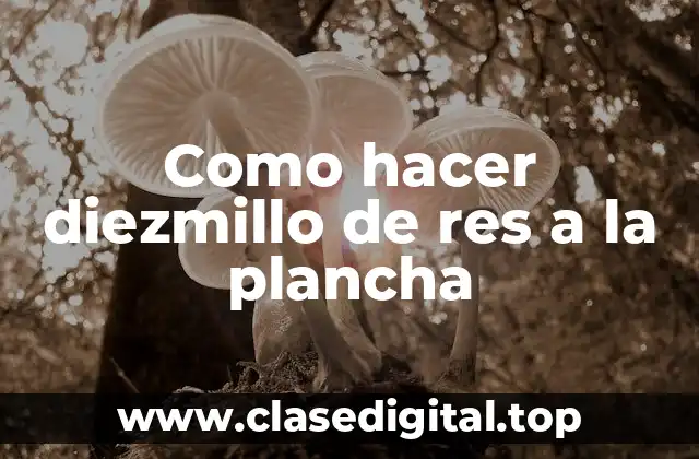 Como hacer diezmillo de res a la plancha
