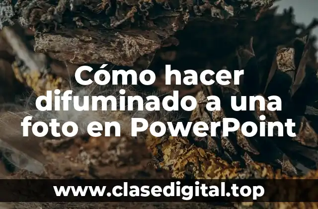 Cómo hacer difuminado a una foto en PowerPoint