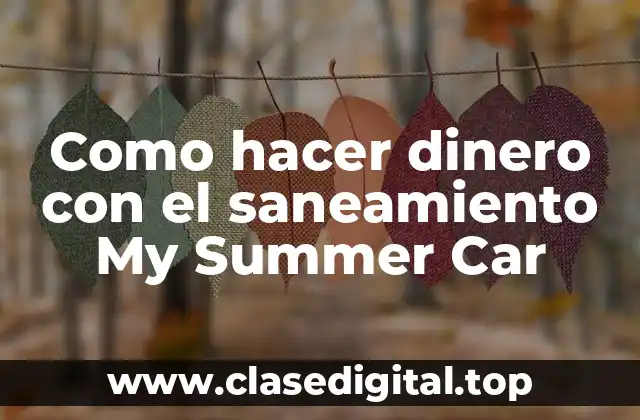 Como hacer dinero con el saneamiento My Summer Car